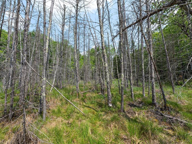 52ac Off Crawford Lake Rd, , Presque Isle,  WI 54557 United States