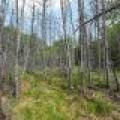 52ac Off Crawford Lake Rd, , Presque Isle,  WI 54557 United States