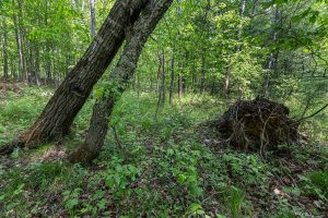 52ac Off Crawford Lake Rd, , Presque Isle,  WI 54557 United States