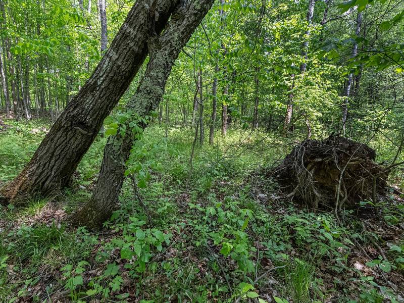52ac Off Crawford Lake Rd, , Presque Isle,  WI 54557 United States