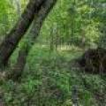 52ac Off Crawford Lake Rd, , Presque Isle,  WI 54557 United States