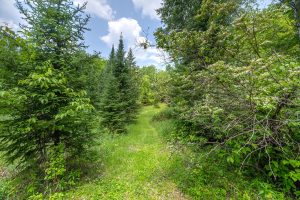52ac Off Crawford Lake Rd, , Presque Isle,  WI 54557 United States