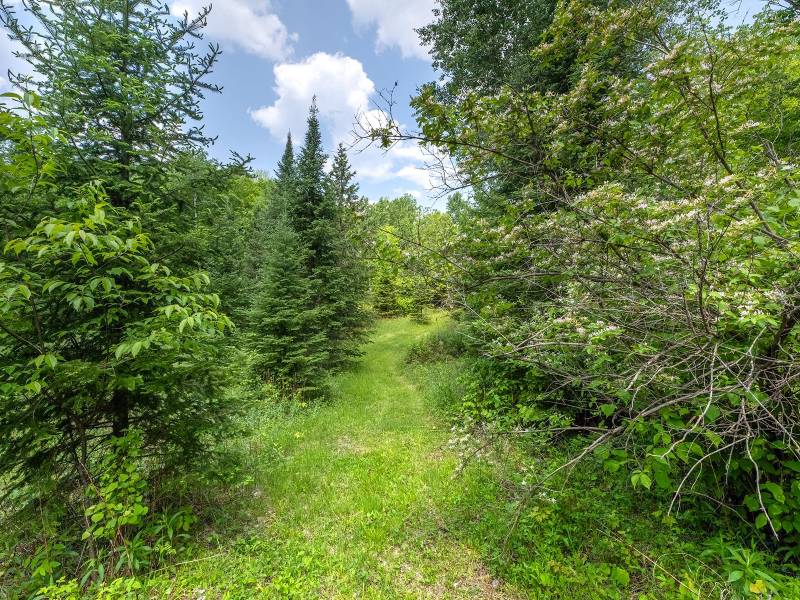 52ac Off Crawford Lake Rd, , Presque Isle,  WI 54557 United States