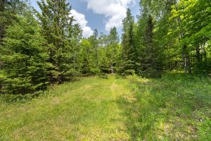 52ac Off Crawford Lake Rd, , Presque Isle,  WI 54557 United States