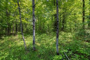 52ac Off Crawford Lake Rd, , Presque Isle,  WI 54557 United States