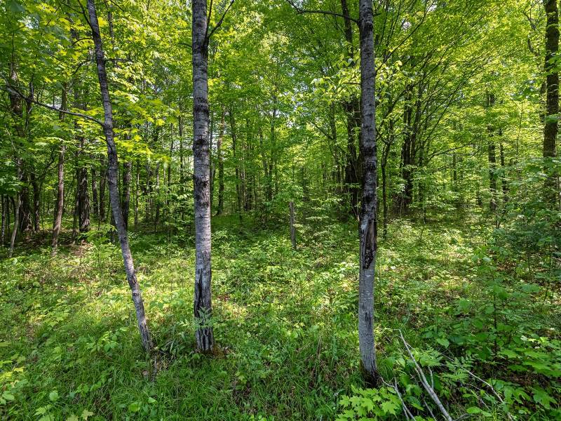 52ac Off Crawford Lake Rd, , Presque Isle,  WI 54557 United States