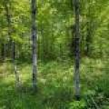 52ac Off Crawford Lake Rd, , Presque Isle,  WI 54557 United States