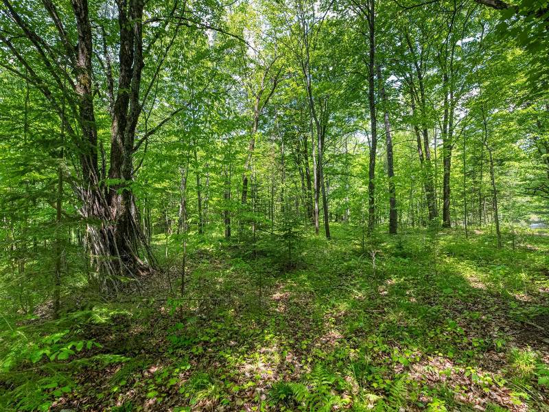 52ac Off Crawford Lake Rd, , Presque Isle,  WI 54557 United States