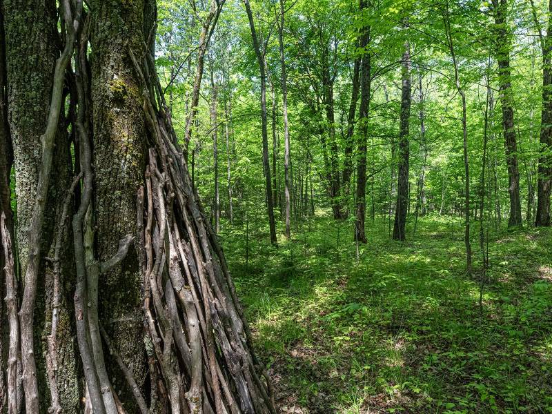 52ac Off Crawford Lake Rd, , Presque Isle,  WI 54557 United States