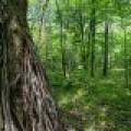 52ac Off Crawford Lake Rd, , Presque Isle,  WI 54557 United States