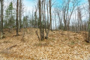 2ac Off Hiawatha Dr, , Presque Isle,  WI 54557 United States
