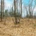 2ac Off Hiawatha Dr, , Presque Isle,  WI 54557 United States
