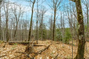 2ac Off Hiawatha Dr, , Presque Isle,  WI 54557 United States