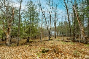 2ac Off Hiawatha Dr, , Presque Isle,  WI 54557 United States