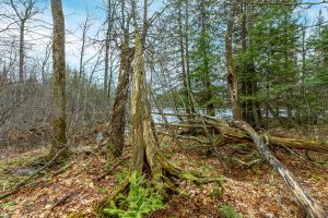 2ac Off Hiawatha Dr, , Presque Isle,  WI 54557 United States