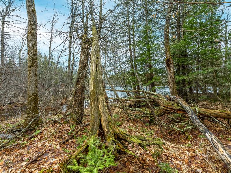 2ac Off Hiawatha Dr, , Presque Isle,  WI 54557 United States