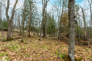 2ac Off Hiawatha Dr, , Presque Isle,  WI 54557 United States