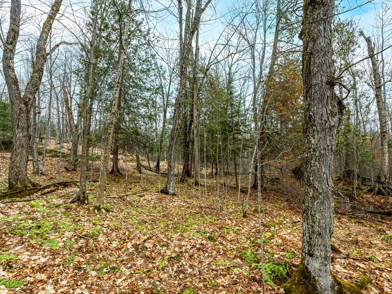2ac Off Hiawatha Dr, , Presque Isle,  WI 54557 United States