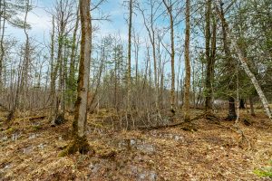 2ac Off Hiawatha Dr, , Presque Isle,  WI 54557 United States