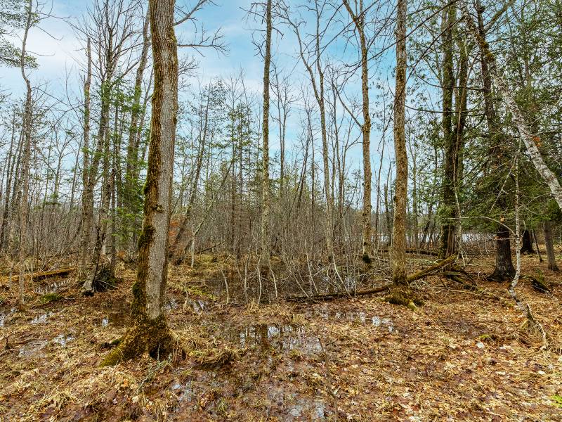 2ac Off Hiawatha Dr, , Presque Isle,  WI 54557 United States