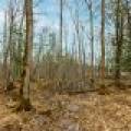 2ac Off Hiawatha Dr, , Presque Isle,  WI 54557 United States
