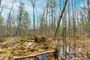 2ac Off Hiawatha Dr, , Presque Isle,  WI 54557 United States