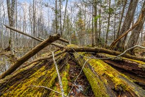 2ac Off Hiawatha Dr, , Presque Isle,  WI 54557 United States