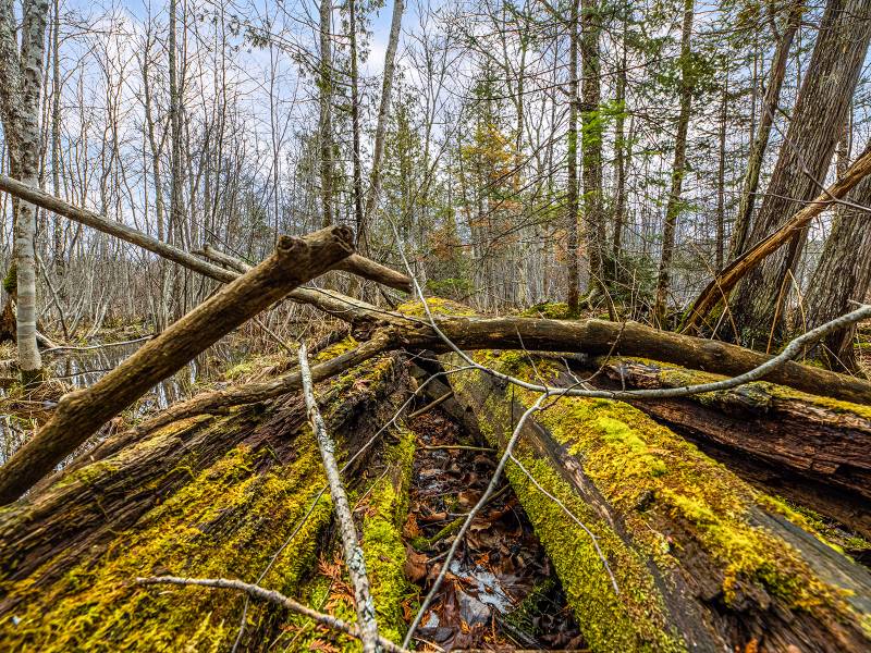2ac Off Hiawatha Dr, , Presque Isle,  WI 54557 United States