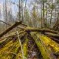 2ac Off Hiawatha Dr, , Presque Isle,  WI 54557 United States