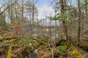 2ac Off Hiawatha Dr, , Presque Isle,  WI 54557 United States