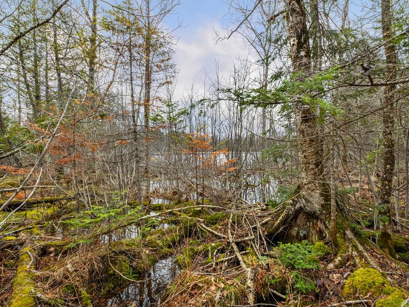 2ac Off Hiawatha Dr, , Presque Isle,  WI 54557 United States