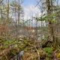 2ac Off Hiawatha Dr, , Presque Isle,  WI 54557 United States
