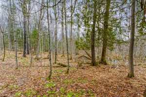 2ac Off Hiawatha Dr, , Presque Isle,  WI 54557 United States
