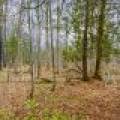 2ac Off Hiawatha Dr, , Presque Isle,  WI 54557 United States