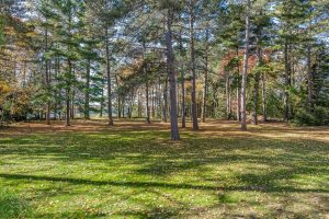 3980 Pedersen Trl, , Phelps,  WI 54554 United States