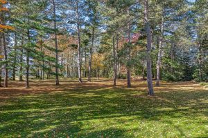 3980 Pedersen Trl, , Phelps,  WI 54554 United States