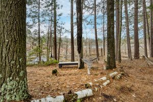 5865 Brook Trl, , Eagle River,  WI 54521 United States