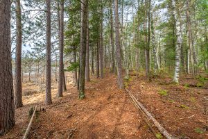 5865 Brook Trl, , Eagle River,  WI 54521 United States