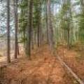 5865 Brook Trl, , Eagle River,  WI 54521 United States