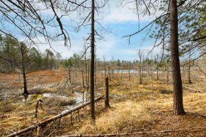 5865 Brook Trl, , Eagle River,  WI 54521 United States