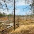 5865 Brook Trl, , Eagle River,  WI 54521 United States