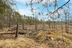 5865 Brook Trl, , Eagle River,  WI 54521 United States