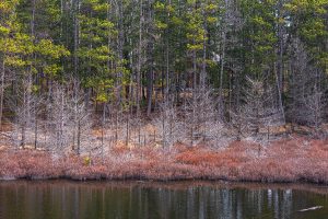 5865 Brook Trl, , Eagle River,  WI 54521 United States