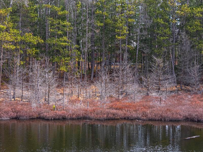 5865 Brook Trl, , Eagle River,  WI 54521 United States