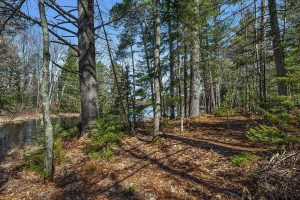 6052 E Shore Dr, , Newbold,  WI 54501 United States
