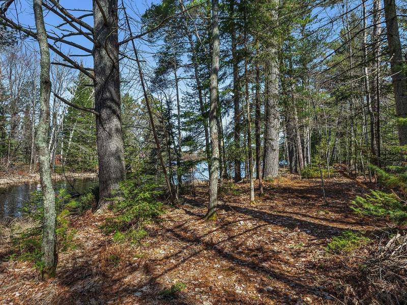 6052 E Shore Dr, , Newbold,  WI 54501 United States