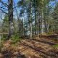 6052 E Shore Dr, , Newbold,  WI 54501 United States