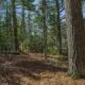 6052 E Shore Dr, , Newbold,  WI 54501 United States
