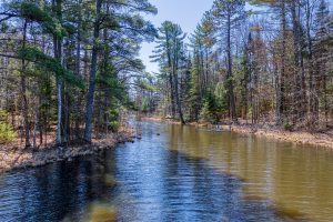 6052 E Shore Dr, , Newbold,  WI 54501 United States