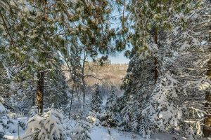 611 N Dyer Farm Rd, , Eagle River,  WI 54521 United States